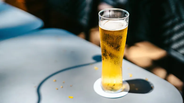 Cervezas Saludables: Guía Definitiva para Elegir Opciones Bajas en Calorías y Carbohidratos
