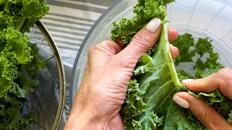 Chips de Kale Horneados: La Receta Saludable y Nutritiva para un Snack Perfecto