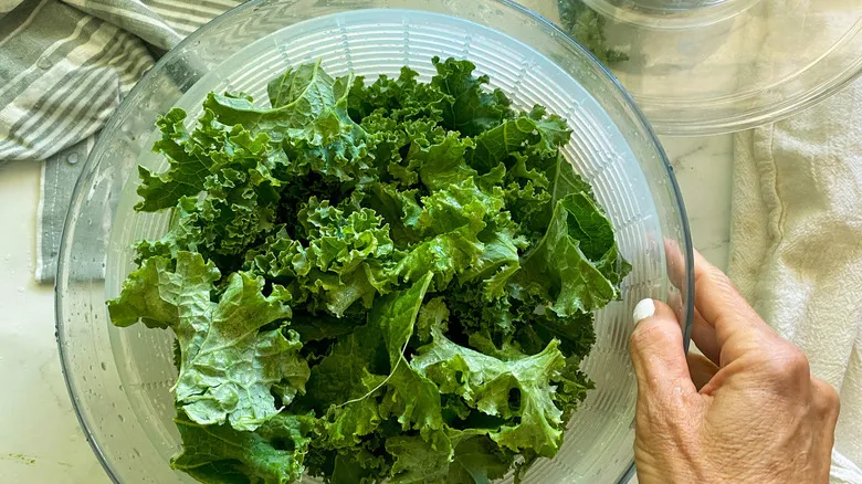 Chips de Kale Horneados: La Receta Saludable y Nutritiva para un Snack Perfecto