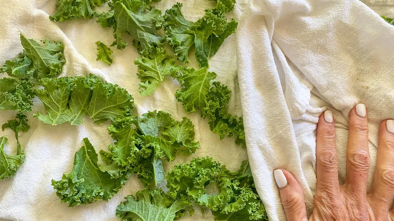 Chips de Kale Horneados: La Receta Saludable y Nutritiva para un Snack Perfecto