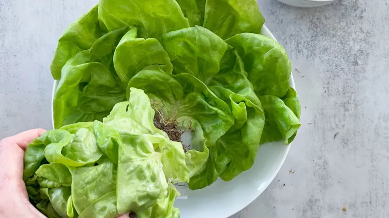 Envolturas de Lechuga con Tofu y Champiñones: Receta Vegana Fácil y Nutritiva